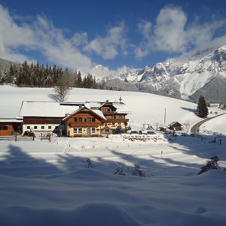 Pension-Greimelbacherhof Ramsau am Dachstein Dış mekan fotoğraf