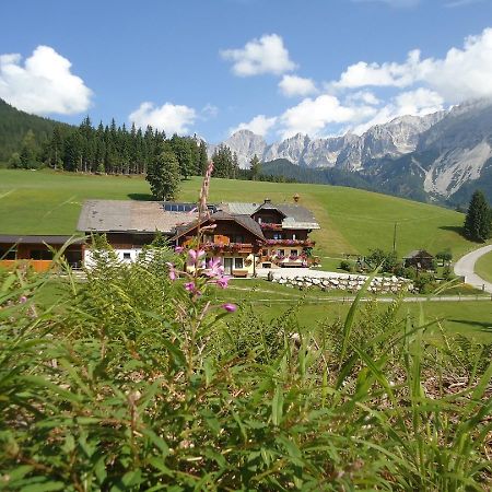Pension-Greimelbacherhof Ramsau am Dachstein Dış mekan fotoğraf