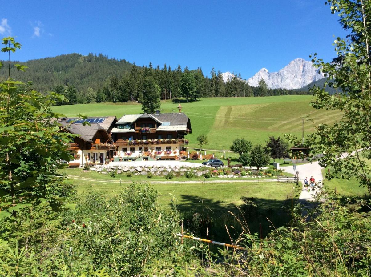 Pension-Greimelbacherhof Ramsau am Dachstein Dış mekan fotoğraf