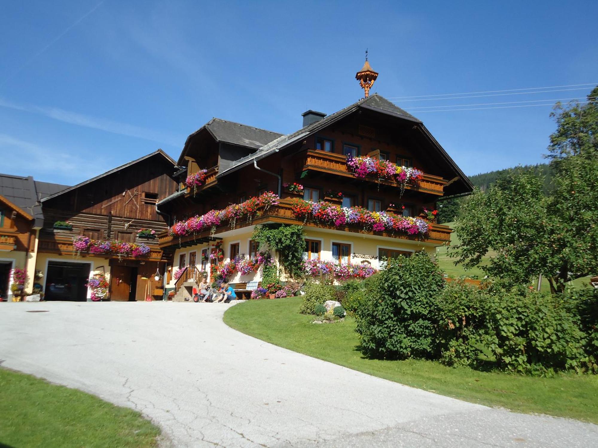 Pension-Greimelbacherhof Ramsau am Dachstein Dış mekan fotoğraf