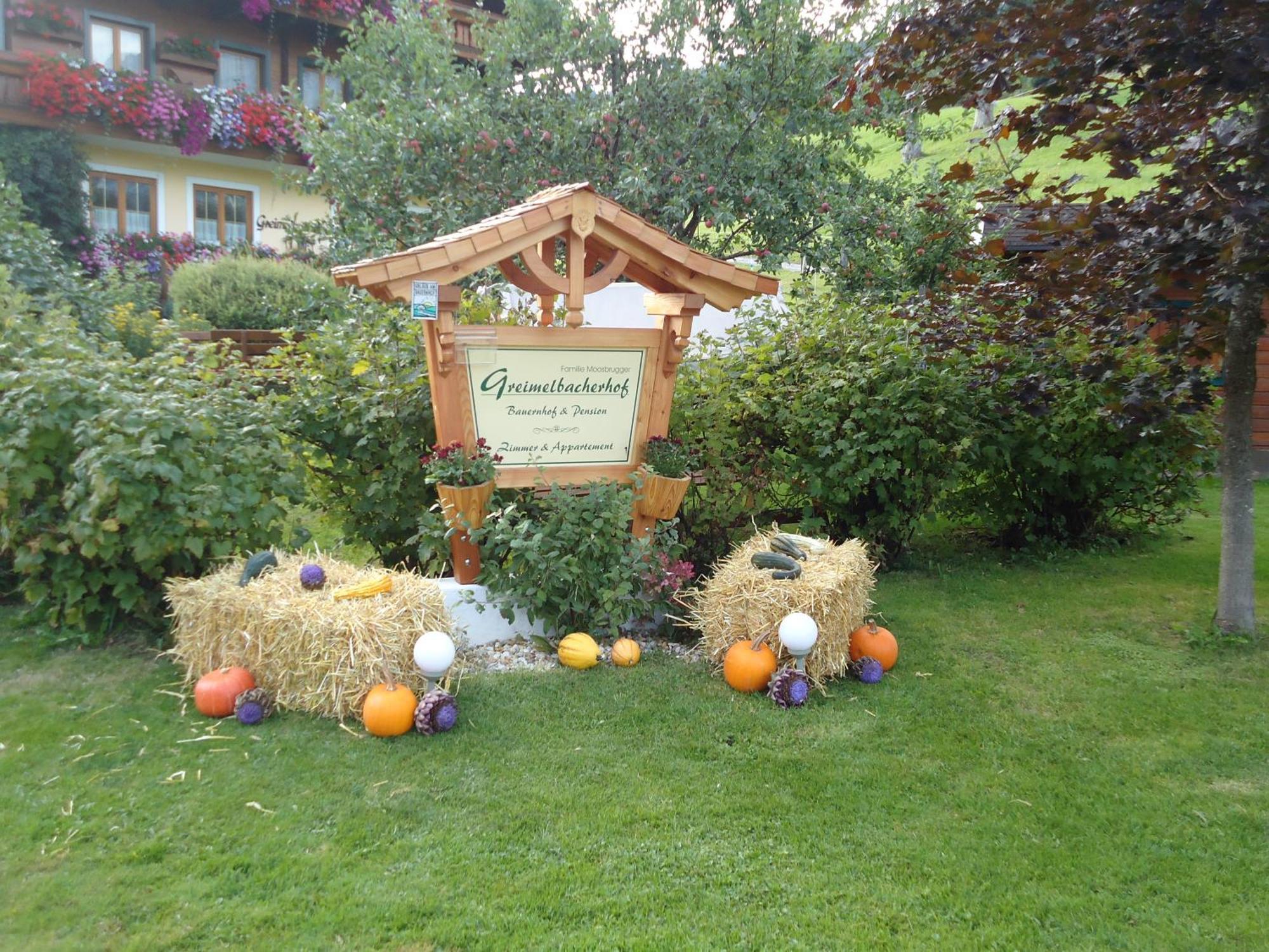 Pension-Greimelbacherhof Ramsau am Dachstein Dış mekan fotoğraf