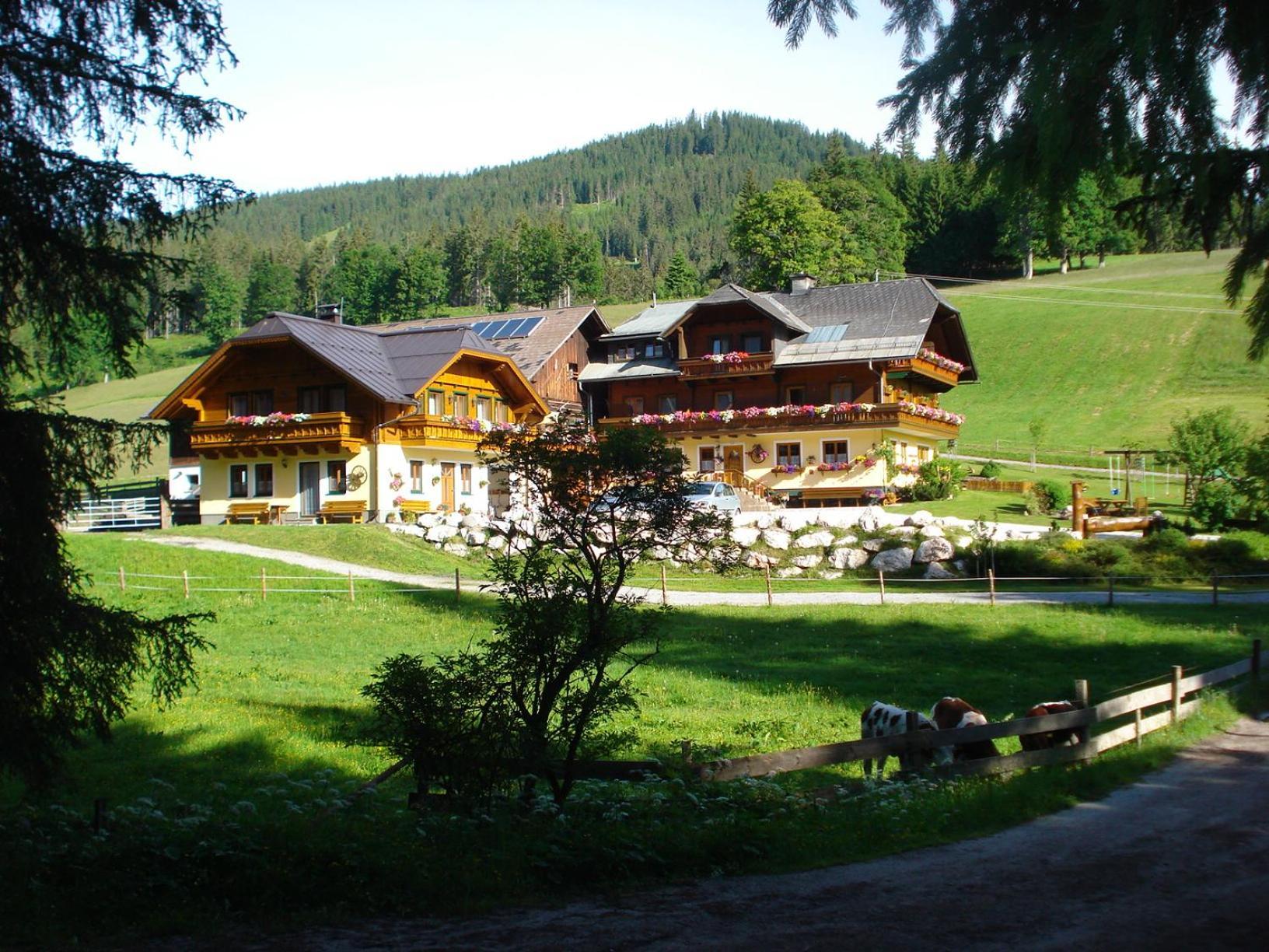 Pension-Greimelbacherhof Ramsau am Dachstein Dış mekan fotoğraf
