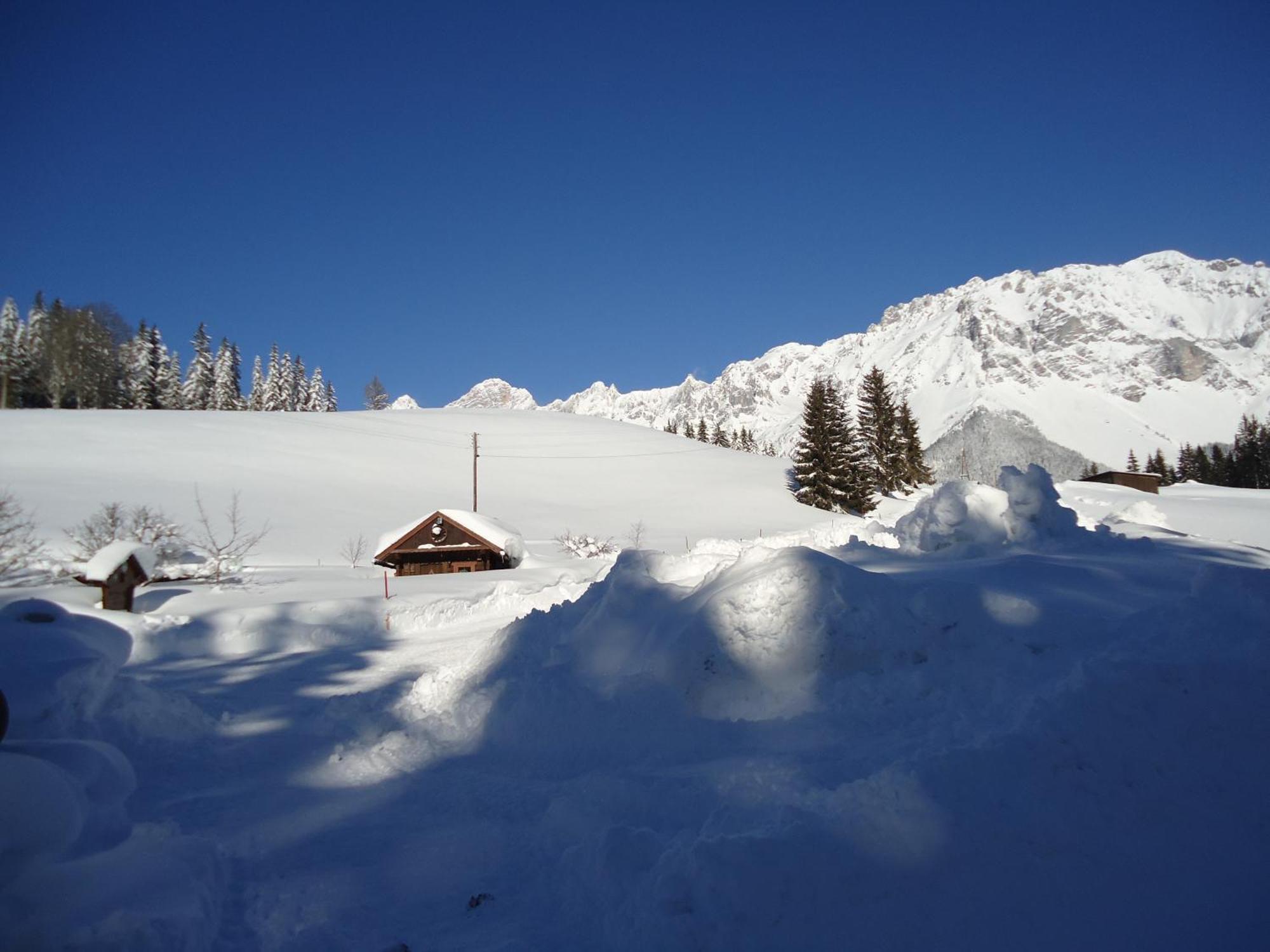Pension-Greimelbacherhof Ramsau am Dachstein Oda fotoğraf
