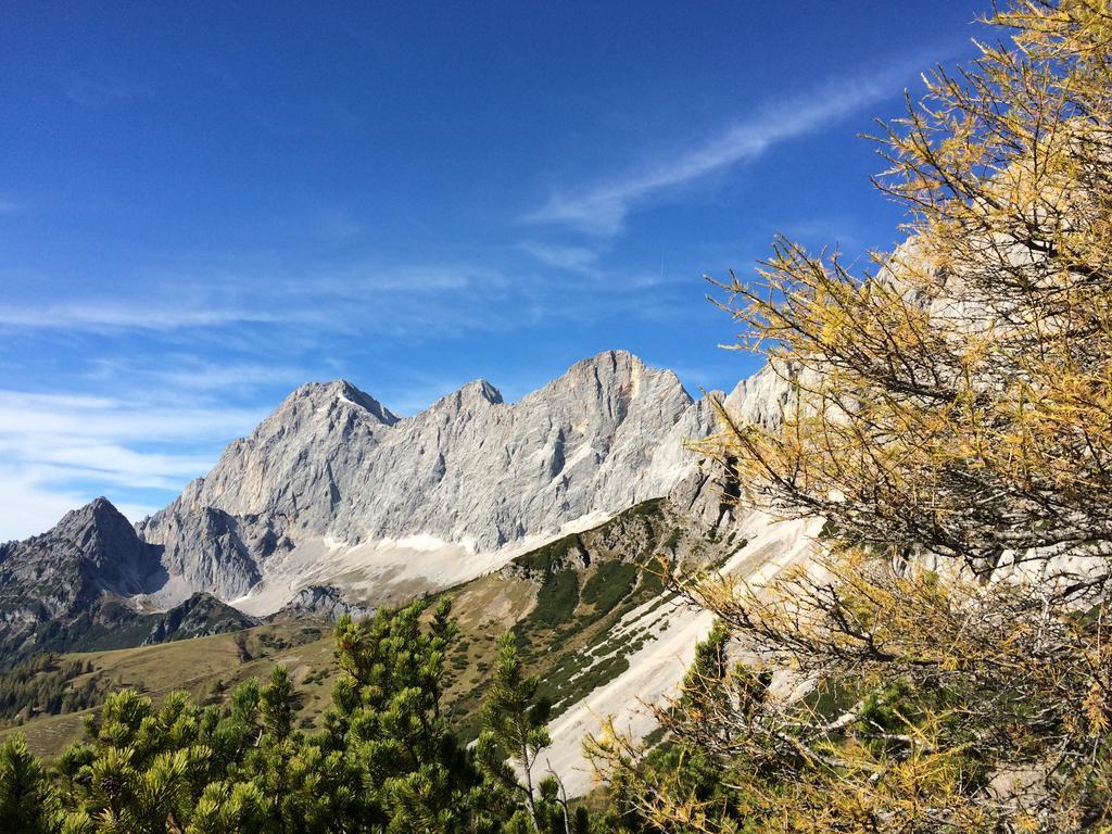 Pension-Greimelbacherhof Ramsau am Dachstein Dış mekan fotoğraf