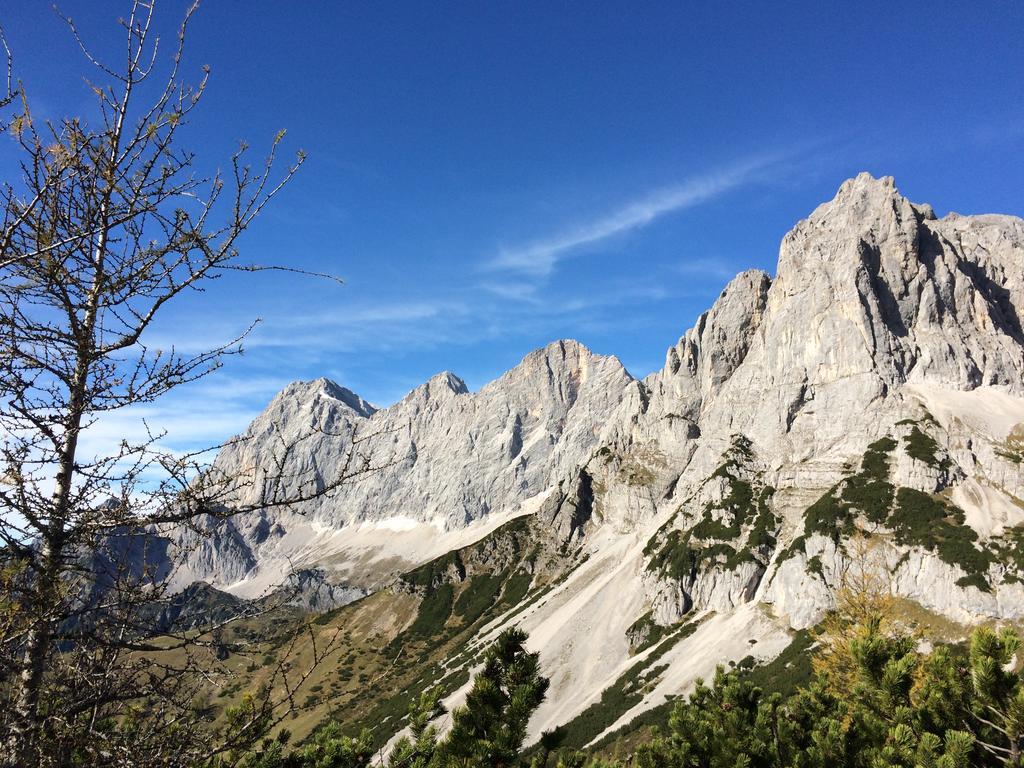 Pension-Greimelbacherhof Ramsau am Dachstein Dış mekan fotoğraf
