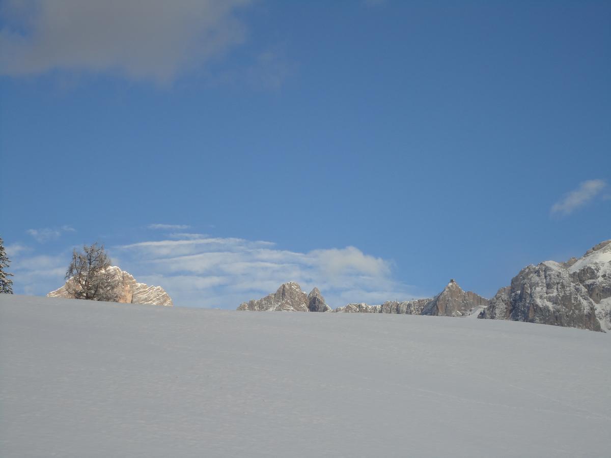 Pension-Greimelbacherhof Ramsau am Dachstein Dış mekan fotoğraf