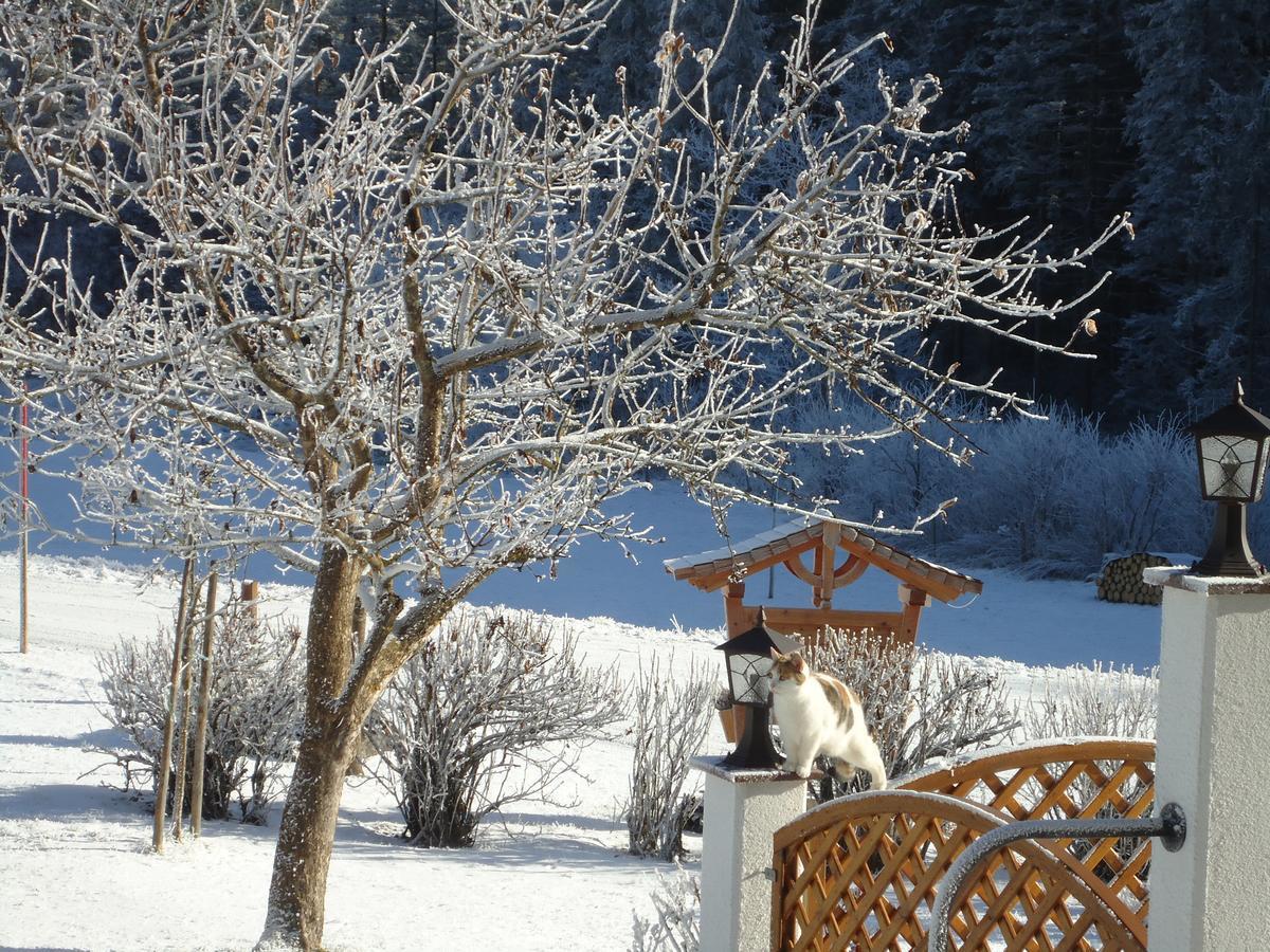 Pension-Greimelbacherhof Ramsau am Dachstein Dış mekan fotoğraf
