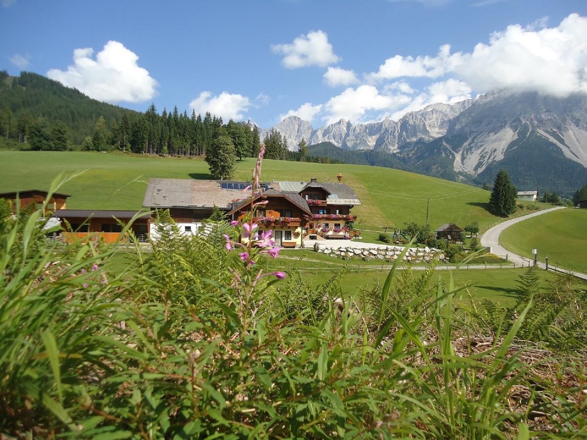 Pension-Greimelbacherhof Ramsau am Dachstein Dış mekan fotoğraf