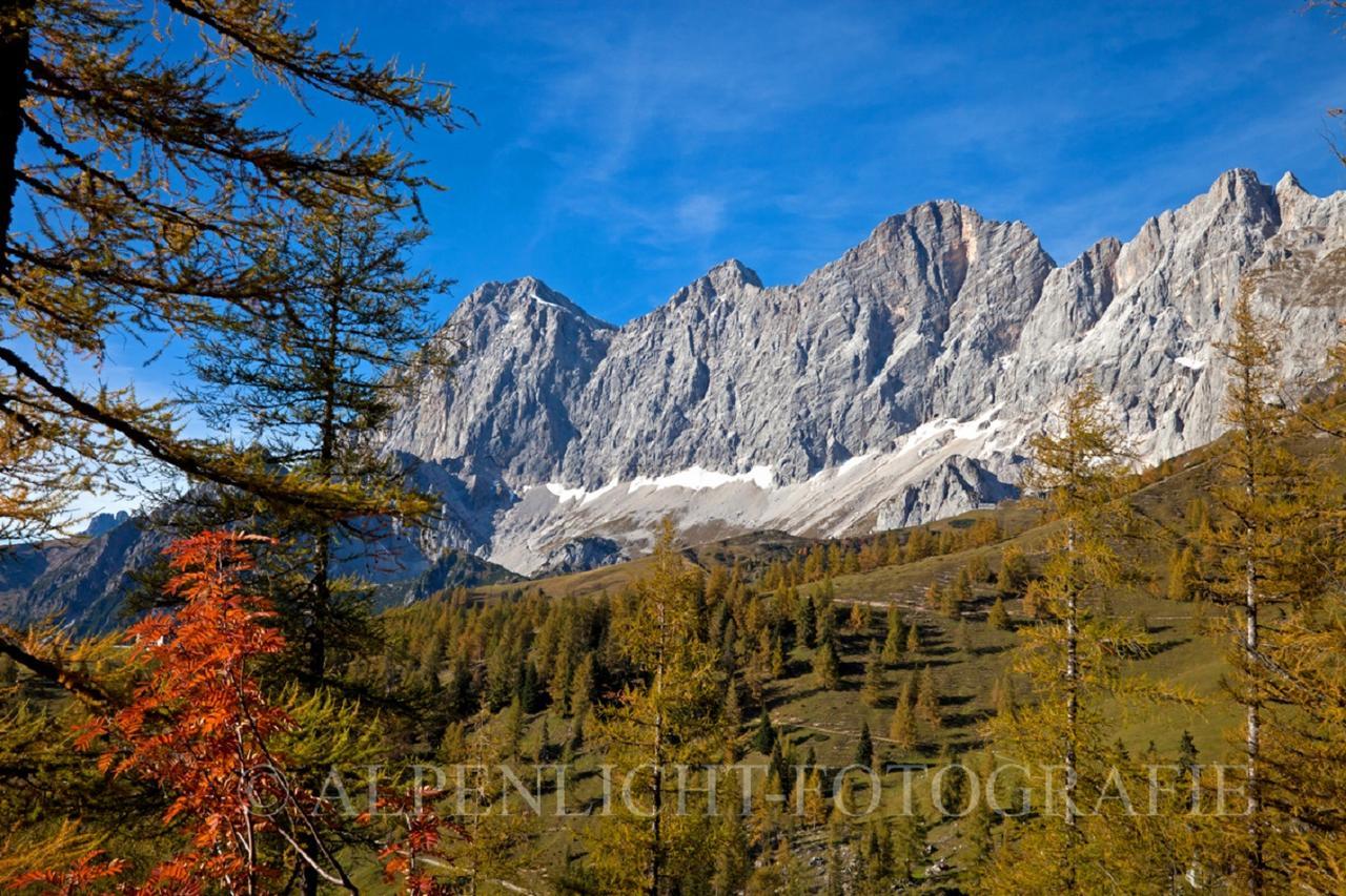 Pension-Greimelbacherhof Ramsau am Dachstein Dış mekan fotoğraf