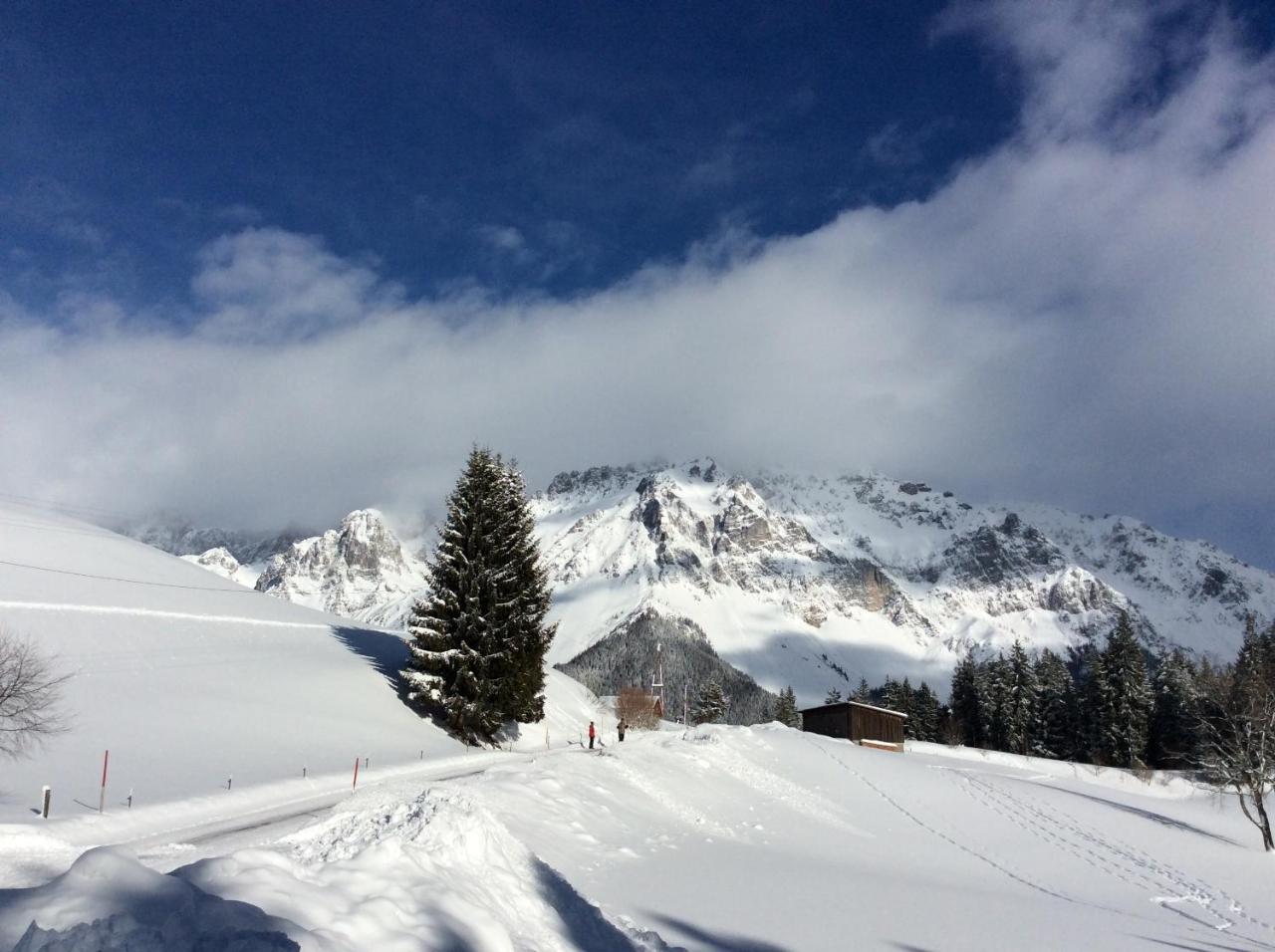 Pension-Greimelbacherhof Ramsau am Dachstein Dış mekan fotoğraf