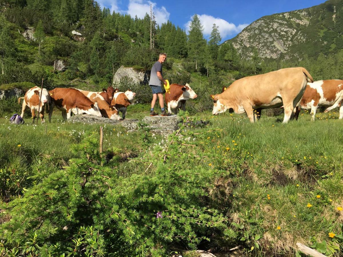 Pension-Greimelbacherhof Ramsau am Dachstein Dış mekan fotoğraf